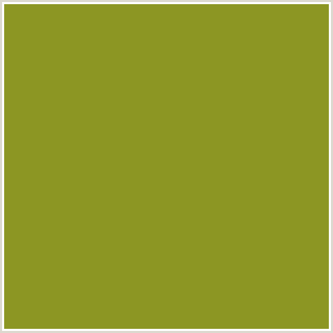 8C9623 Hex Color Image (OLIVE, WASABI, YELLOW GREEN)