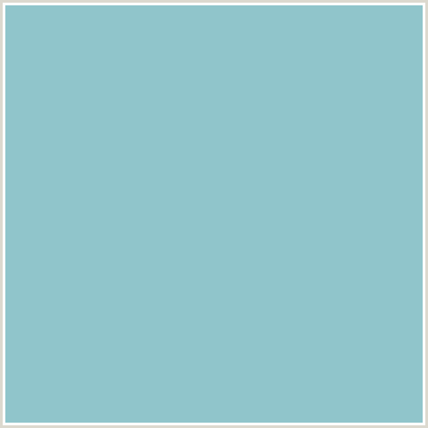 90C5CB Hex Color Image (HALF BAKED, LIGHT BLUE)