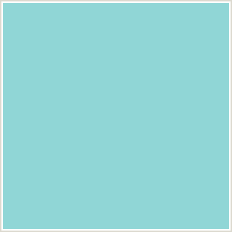 90D6D6 Hex Color Image (AQUA ISLAND, LIGHT BLUE)