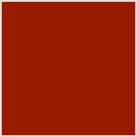 991E00 Hex Color Image (RED ORANGE, TOTEM POLE)