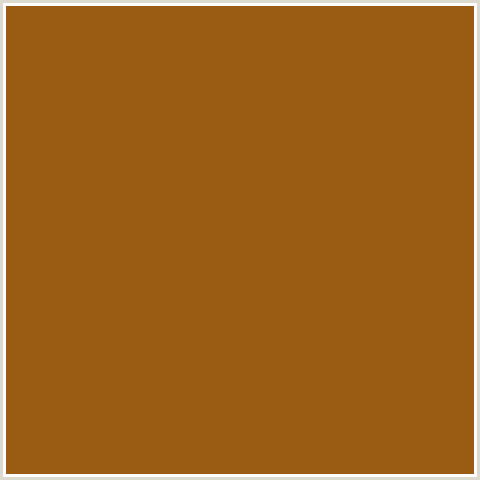 995C12 Hex Color Image (HAWAIIAN TAN, ORANGE)