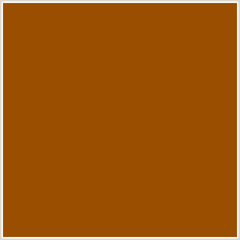 9A4E00 Hex Color Image (BROWN, ORANGE)