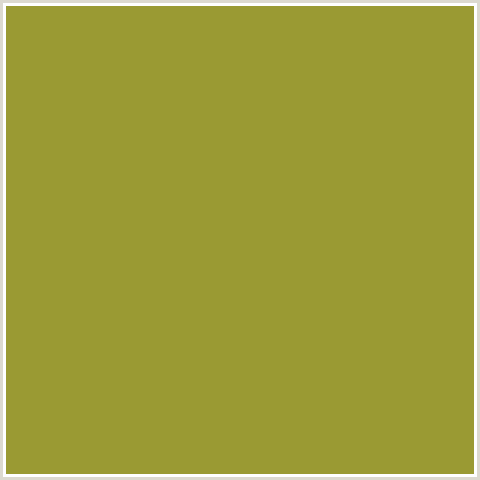 9A9A33 Hex Color Image (SYCAMORE, YELLOW GREEN)