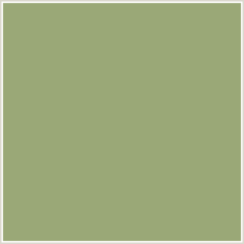 9AA877 Hex Color Image (GREEN SMOKE, GREEN YELLOW)