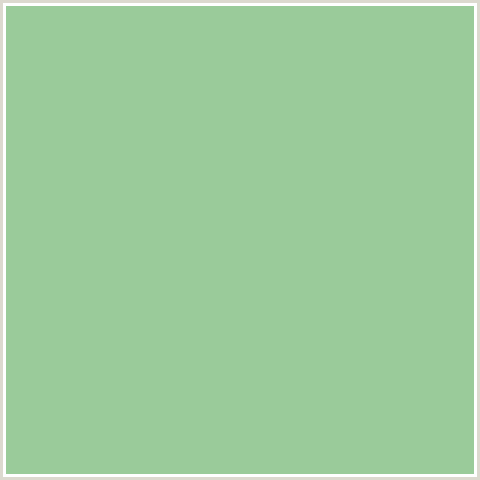 9ACB9A Hex Color Image (GREEN, SPRING RAIN)