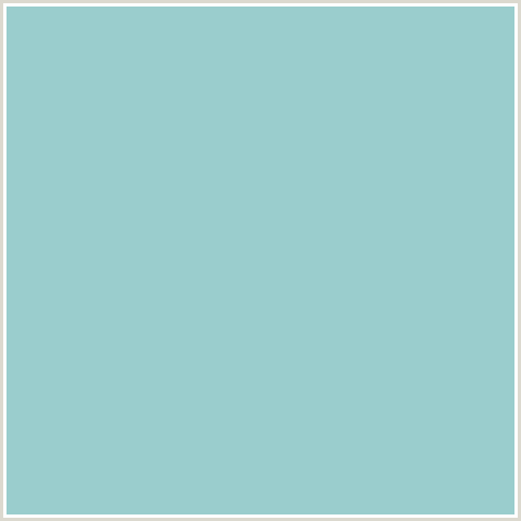 9ACDCD Hex Color Image (LIGHT BLUE, SINBAD)