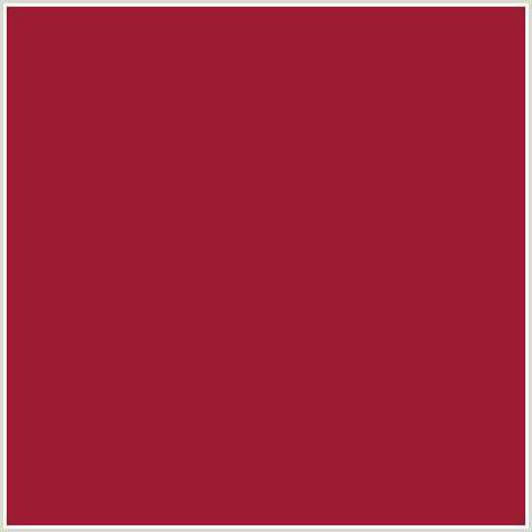 9B1B30 Hex Color Image (OLD BRICK, RED)