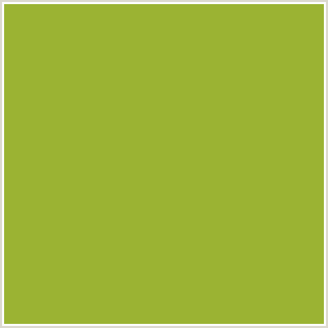 9BB333 Hex Color Image (GREEN YELLOW, SUSHI)