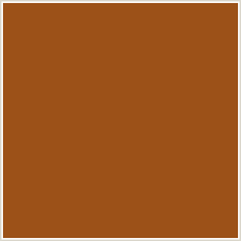 9C5118 Hex Color Image (HAWAIIAN TAN, ORANGE RED)