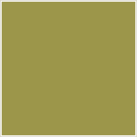 9C964A Hex Color Image (LIMED OAK, YELLOW)