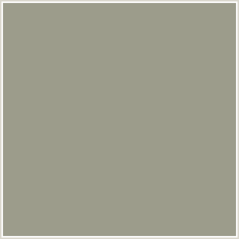 9C9C8B Hex Color Image (LEMON GRASS, YELLOW GREEN)