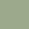 9CA98C Hex Color Image (GREEN YELLOW, SAGE)