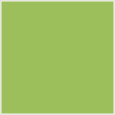 9CBF5C Hex Color Image (CELERY, GREEN YELLOW)