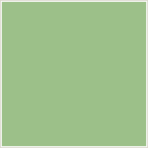 9CC089 Hex Color Image (GREEN, OLIVINE)