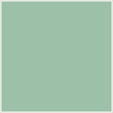 9CC1A8 Hex Color Image (GREEN, SUMMER GREEN)