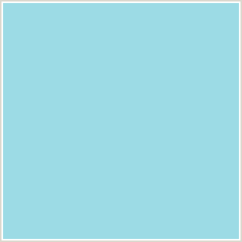 9CDBE5 Hex Color Image (LIGHT BLUE, REGENT ST BLUE)