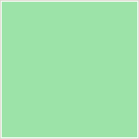 9CE3A8 Hex Color Image (ALGAE GREEN, GREEN)