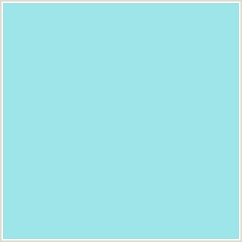 9DE5E8 Hex Color Image (BABY BLUE, LIGHT BLUE, WATER LEAF)