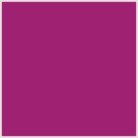 9E2271 Hex Color Image (DEEP PINK, FUCHSIA, FUSCHIA, HIBISCUS, HOT PINK, MAGENTA)