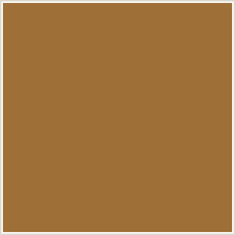 9E6F37 Hex Color Image (ORANGE, SEPIA SKIN)