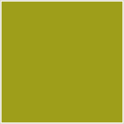 9E9E1A Hex Color Image (CITRON, YELLOW GREEN)