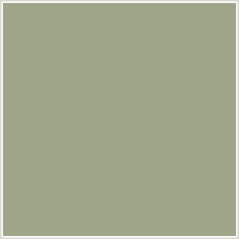 9EA589 Hex Color Image (GREEN YELLOW, SAGE)