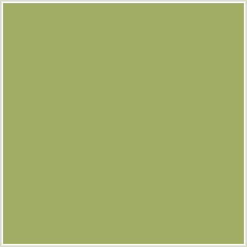 9EAD63 Hex Color Image (GREEN SMOKE, GREEN YELLOW)