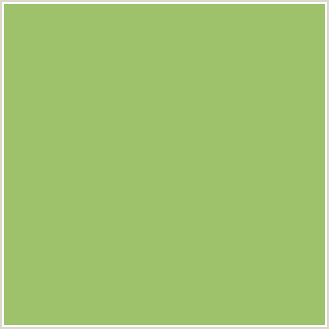 9EC16C Hex Color Image (GREEN YELLOW, OLIVINE)