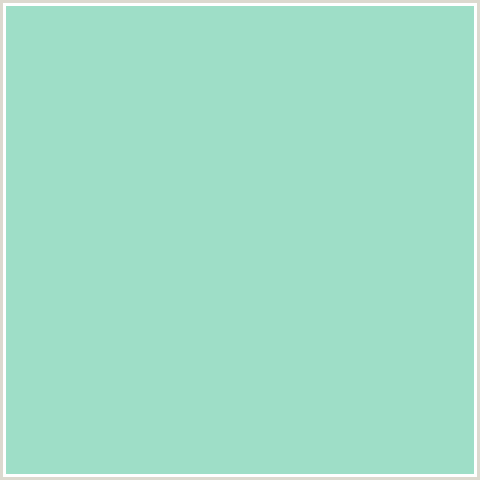 9EDEC7 Hex Color Image (CHINOOK, GREEN BLUE)