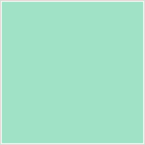 9EE3C5 Hex Color Image (ALGAE GREEN, GREEN BLUE)
