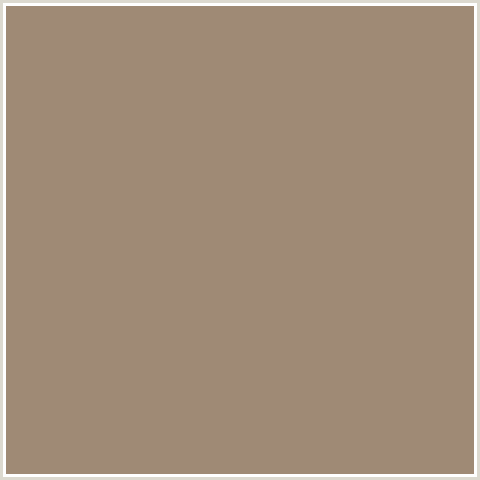 9F8A75 Hex Color Image (DONKEY BROWN, ORANGE)