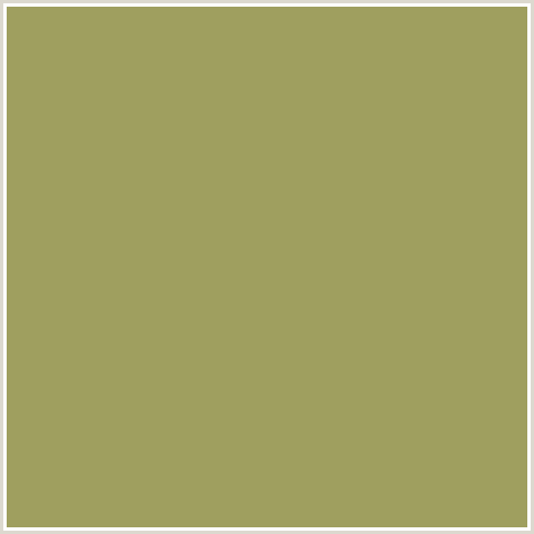 9F9F5F Hex Color Image (BARLEY CORN, YELLOW GREEN)