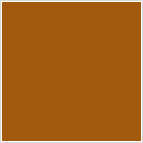 A1590D Hex Color Image (ORANGE, PUMPKIN SKIN)