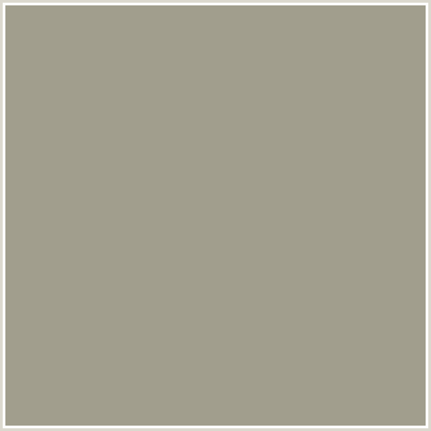 A19E8D Hex Color Image (GRAY OLIVE, YELLOW)