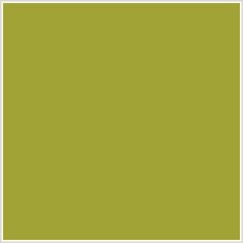 A1A337 Hex Color Image (SUSHI, YELLOW GREEN)
