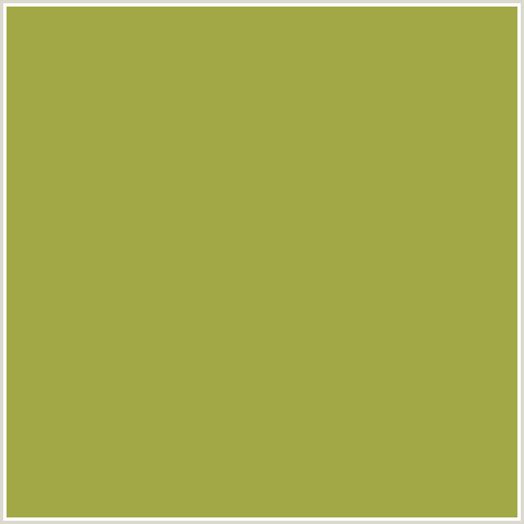 A3A847 Hex Color Image (HUSK, YELLOW GREEN)