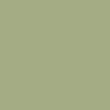 A4AC84 Hex Color Image (GREEN YELLOW, LOCUST)