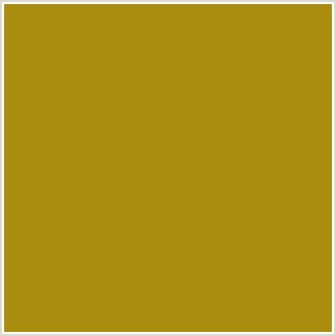 AA8D0E Hex Color Image (BUTTERED RUM, ORANGE YELLOW)
