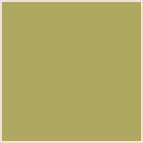 B0A761 Hex Color Image (OLIVE GREEN, YELLOW)