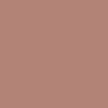 B28376 Hex Color Image (BRANDY ROSE, RED ORANGE)