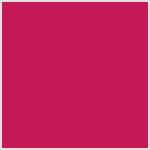C51957 Hex Color Image (MAROON FLUSH, RED)