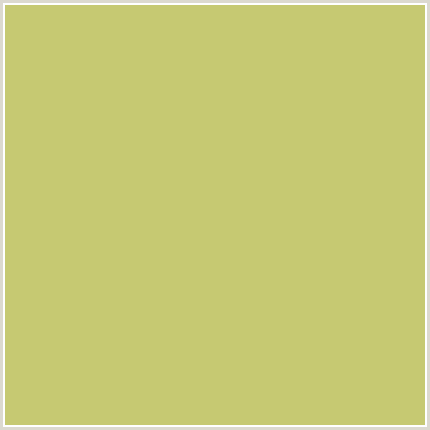 C6C972 Hex Color Image (WILD WILLOW, YELLOW GREEN)