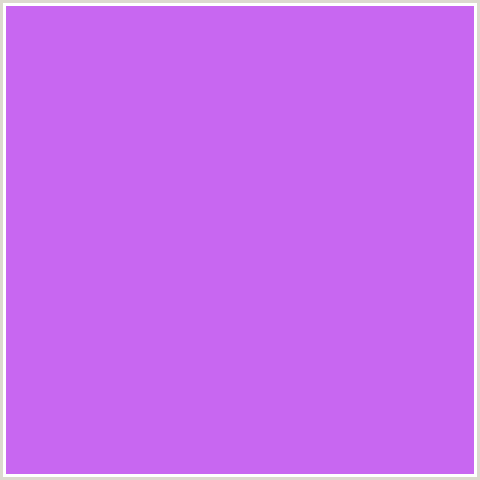 C867F1 Hex Color Image (HELIOTROPE, PURPLE, VIOLET)