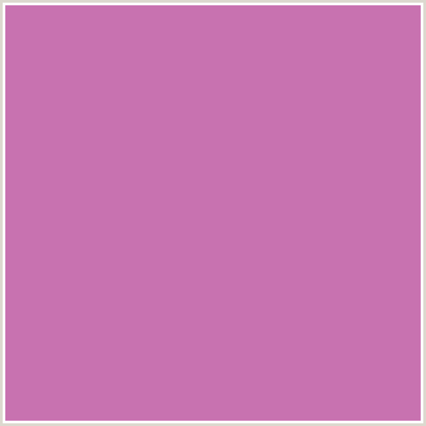 C872B0 Hex Color Image (DEEP PINK, FUCHSIA, FUSCHIA, HOPBUSH, HOT PINK, MAGENTA)