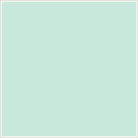 C8E8DC Hex Color Image (GREEN BLUE, SKEPTIC)