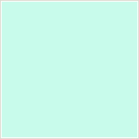 C8FBEB Hex Color Image (BLUE GREEN, SCANDAL)