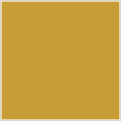 C99D36 Hex Color Image (OLD GOLD, YELLOW ORANGE)