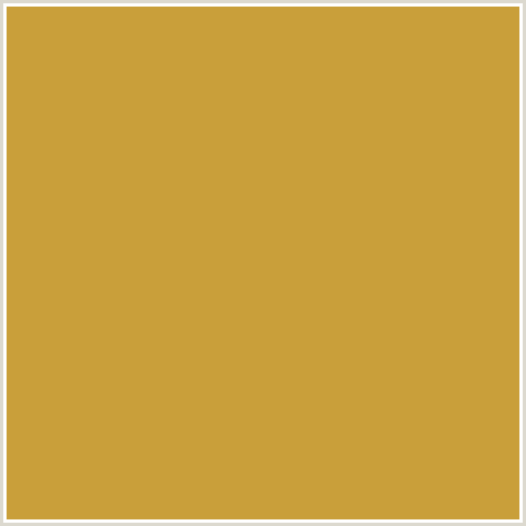 C99F3A Hex Color Image (OLD GOLD, YELLOW ORANGE)