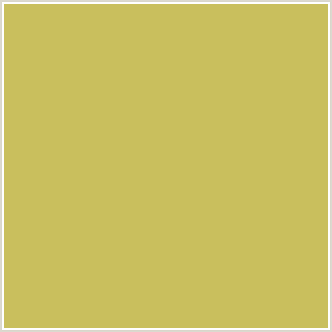 C9BF5D Hex Color Image (SUNDANCE, YELLOW)