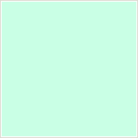 C9FFE5 Hex Color Image (AERO BLUE, GREEN BLUE, MINT)